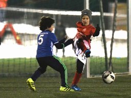 mini-2017-01-28-DSC_1849